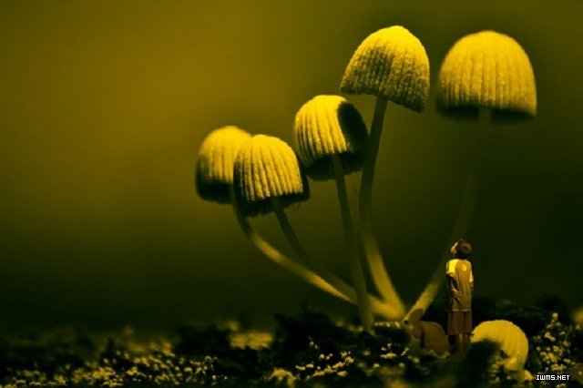 怎样催眠别人,隐含式暗示的作用