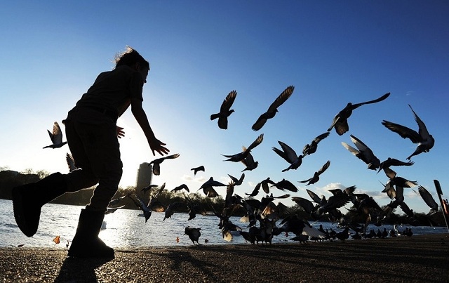 双趋和双避冲突的制约模式提供给来访者很多种合乎心意的或者没有一种很心意的选项让来访者做出抉择,让他们在一中限制范围内自由选择,并根据来访者的决定展开治疗。