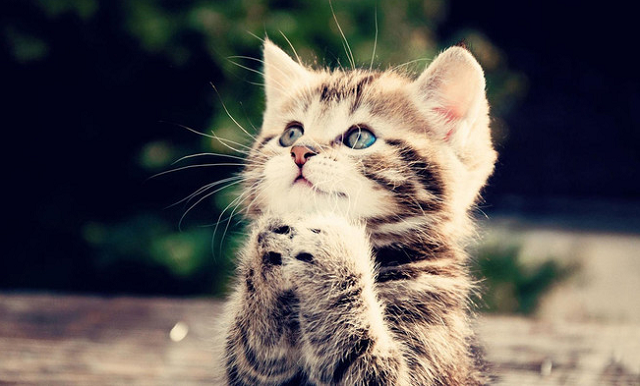 对患者施加一种无效的治疗手段，之后患者会因为对这种治疗的期待和信念而最终使症状得到缓解，这种效应就是催眠中的安慰剂效应，这其中，患者的潜意识起着莫大的作用。